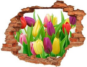 Lyuk 3d fali matrica Színes tulipán nd-c-12652067