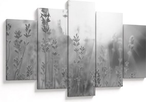 Kép - Levendula (150x105 cm)