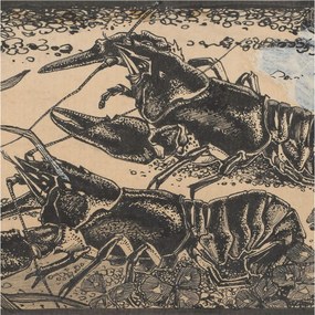 Flizelin tapéta falra Prémium vízrákok 250x250 ragasztó