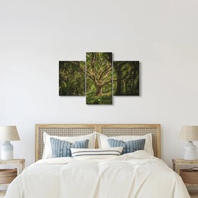 Fa képe (90x60 cm)