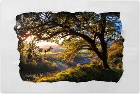 Poszterek 90x60 Kilátás a völgyre