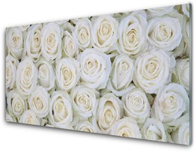 Akril üveg kép Rózsa virágok Plant 120x60 cm