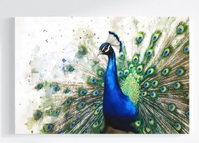 Vászonkép Canvas Akvarell Természet Portré Madár Páva Elegancia 60x40