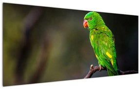 Papagáj egy ágon képe (120x50 cm)