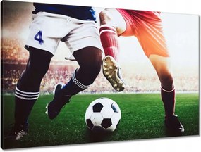 Vászonkép 90x60 Labdarúgók Labdarúgás Ág Dugók