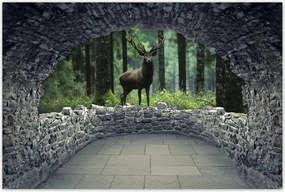 Poszterek 120x80 Szarvas az erdő közepén