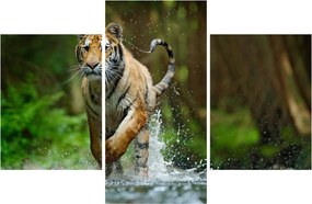 Futó tigris képe (90x60 cm)