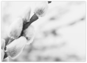 Kép - A tavasz kezdete (70x50 cm)