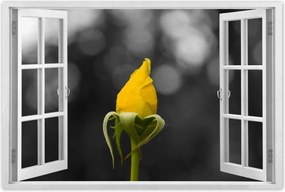 Poszterek 120x80 Sárga rózsa