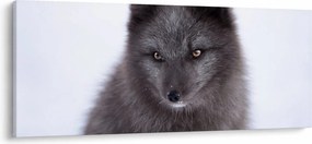 Róka képe (120x50 cm)