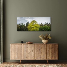 Egy zöld fa képe a mező közepén (120x50 cm)