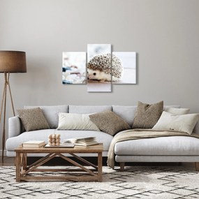 Sündisznó képe (90x60 cm)