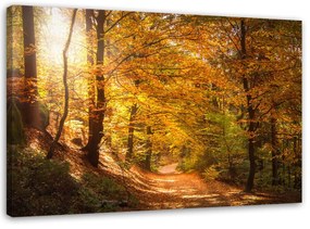 Gario Vászonkép Levelek egy erdei ösvényen Méret: 60 x 40 cm