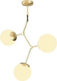 Damar - 6317