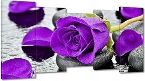 Vászonkép 150x80 Lila rózsa kövek