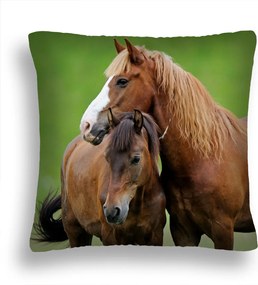 Lovak Párna 37 Kanca És Csikó Zöld Pl 50X50