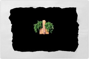 Poszter 60x40 Petrezselyem kapor gyógynövények