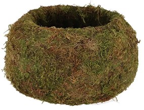 Kokedáma japán mohagömb, virágtartó, 19 cm