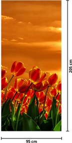 Fotótapéta ajtóra - Virágzó mező tulipánokkal (95x205cm)