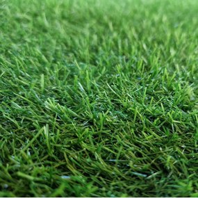 Szőnyeg Műfű Cilantro Zöld Sűrű tekercs Erkély Kert 4m