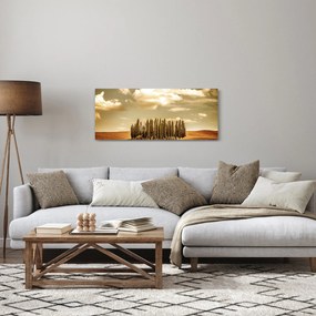 A Tisztás képe (120x50 cm)