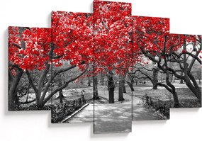 Kép - vörös fák,Central Park, New York (150x105 cm)