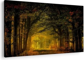 Erdő képe (90x60 cm)