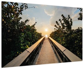 Kép - út a naphoz (90x60 cm)