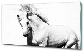 Üvegkép Fehér ló osh-14270832
