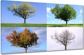 Vászonkép 120x70 Négy évszak Fa