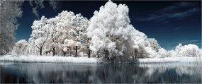Kép - Hófehér fák (120x50 cm)