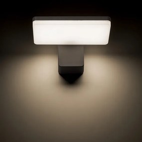 RED - Design Rendl-R11947- LED Kültéri fali lámpa RINA LED/12W/230V IP65