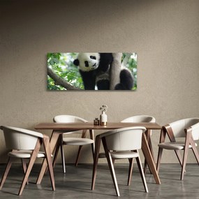 Kép - Panda a fán (120x50 cm)