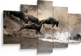 Kép - Gnúcsorda (150x105 cm)