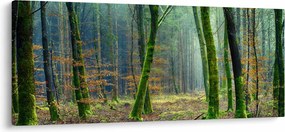 Az erdő képe (120x50 cm)