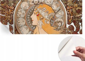 Öntapadós fotótapéta Otthoni szobába Zodiákus elegancia 250x104 cm