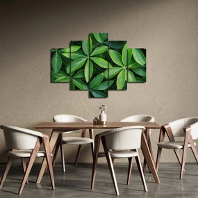 Kép - Levelek harmatcseppekkel (150x105 cm)