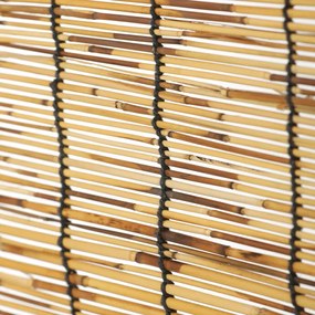 Barna Paraván. EF-L174 BK