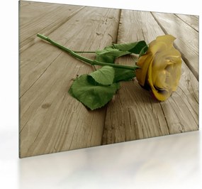 Üveg kép - Vintage sárga rózsák (70x50 cm)