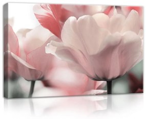 Rózsaszín tulipánok, vászonkép, 60x40 cm méretben
