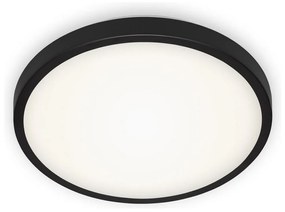 Briloner 3455-015 - LED Mennyezeti lámpa MANNY LED/12W/230V