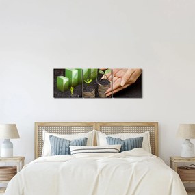 Kép - Növekedés (órával) (90x30 cm)