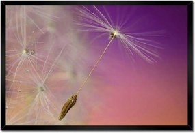 Poszterek keretben 60x40 Pitypang Virág Virágok