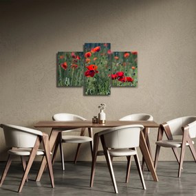 Kép - Rét mák virággal (90x60 cm)