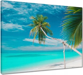 Vászonkép 50x40 Tájkép Látvány