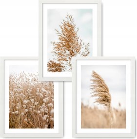 Boho 3 kép 33x43 Természet Fű keret Ikea #11