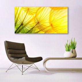 Üvegkép Pitypang Virágok Természet 100x50 cm