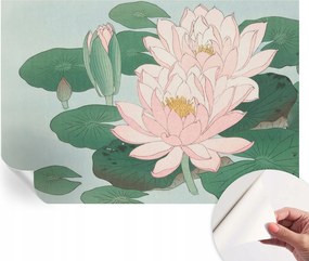 Öntapadós Dekoratív Fotótapéta Hálószobába Vízi lótusz 152x104 cm