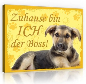 Vászonkép, Kutya - Zuhause bin ICH der Boss!, 60x40 cm méretben