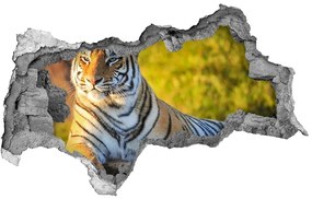 3d-s lyukat fali matrica Portré egy tigris nd-b-65114965